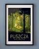 plakaty Plakat PUSZCZA BIAŁOWIESKA