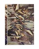 notatniki i albumy Notes Pasja 17x24 cm 160 stron ecru