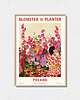 plakaty Plakat botaniczny "Polska"