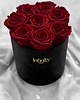 dodatki - różne Flower box czerwone róże wieczne w czarnym welurowym pudełku Infinity Rose