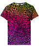 t-shirty dla chłopców T-shirt Boy DR.CROW Multicolor Leopard