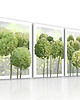 obrazy OBRAZ NA PŁÓTNIE - HORTENSJE 3 części 50x70cm