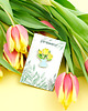 przypinki Pin tulipany w wazonie