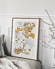 plakaty Plakat- Drzewo cytrynowe
