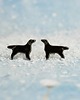 kolczyki ceramiczne Flat coated retriever-kolczyki z psem
