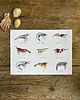 grafiki i ilustracje Krewetki- Prawns- Grafika- Ilustracja- Plakat