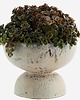 doniczki Doniczka misa Blur 18x14 cm ceramika