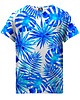 t-shirty dla dziewczynki T-shirt Girl DR.CROW Blue Palms