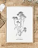 grafiki i ilustracje Zestaw dwóch grafik botanicznych - papier COFFE - eko