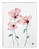 plakaty Plakat Kwiaty 5 roz. 61x91 cm