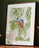 plakaty Plakat 50x40 Zimorodki Zielone Palmy