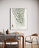 grafiki i ilustracje Ceropegia