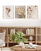 plakaty Zestaw 3 Plakatów Boho: Złota Palma, Abstrakcja, Suszone Kwiaty