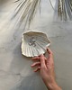 pojemniki na biżuterię Podstawka na Biżuterię Palo Santo Ceramiczna Muszelka Muszla Babie Lato