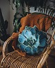 poduszki z grafiką Poduszka Aloes
