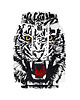 bluzy dla chłopców Bluza White Tiger