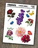 tatuaże zmywalne, tymczasowe Tatuaże zmywalne ATRAMENTO set VINTAGE FLOWERS
