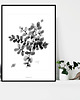 grafiki i ilustracje Plant print, 70x100cm