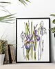 obrazy Irysy - akwarela art print w oprawie.