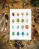 grafiki i ilustracje Jajka - grafika- ilustracja- plakat- eggs
