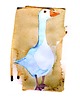 grafiki i ilustracje Plakat Gąsiorek