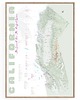 plakaty Plakat SURFING Kalifornia