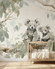 fototapeta Tapeta Koala Kingdom