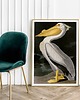plakaty Plakat Pelikan