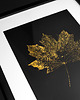 obrazy Monotypia Botaniczna. Złoty Liść Klonu. Obraz w Ramie A3