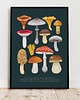 plakaty Plakat "Grzyby" 30x40 cm na granatowym tle