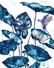 naklejki ścienne do pokoju dziecka Tapeta dla dzieci Niebieskie Papugi ( Blue Parrot)