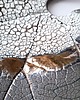 patery i talerze Patera dekoracyjna BIG LEAF- szaro-złota