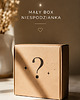 dodatki - różne Mały box niespodzianka