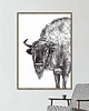 grafiki i ilustracje Żubr 70x100