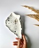 pojemniki na biżuterię Ceramiczna Muszla Dalmatyńczyk