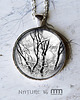wisiory Tree