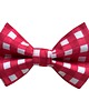 ubranka dla zwierząt Muszka dla psa  Czerwono-biała kratka