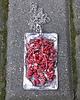 wisiory Koral - wisiorek