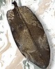 Ozdoby na ścianę Duży ceramiczny liść  45x17 cm