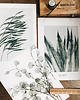 grafiki i ilustracje Komplet 3 botanicznych printów