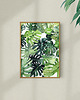 grafiki i ilustracje Monstera - ilustracja botaniczna
