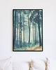 plakaty Plakat - Deep forest 1