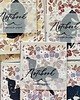 notatniki i albumy Trójpak Notesów  -  Charty wiosenne