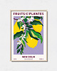 plakaty Plakat botaniczny "New Delhi"