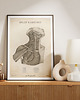 plakaty Plakat Splot Ramienny Vintage