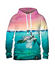 bluzy męskie Męska Bluza z kapturem Turtle Eko
