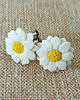 kolczyki z masy plastycznej Romantyczne kolczyki stokrotki z modeliny