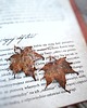 kolczyki z miedzi Listki klonowe I kolczyki miedziane