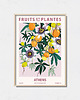 plakaty Plakat botaniczny "Ateny"