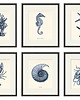 grafiki i ilustracje Motywy morskie zestaw 6 grafik